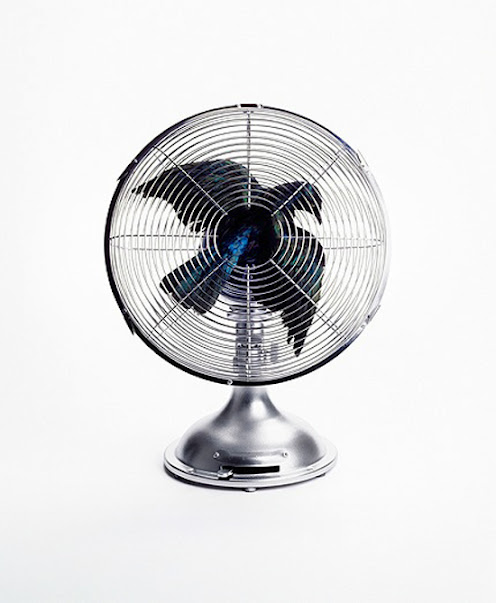 Picture-28 ( 30 Paradoxical Ideas - Creative Photo Manipulation works created by Nancy Fouts )
